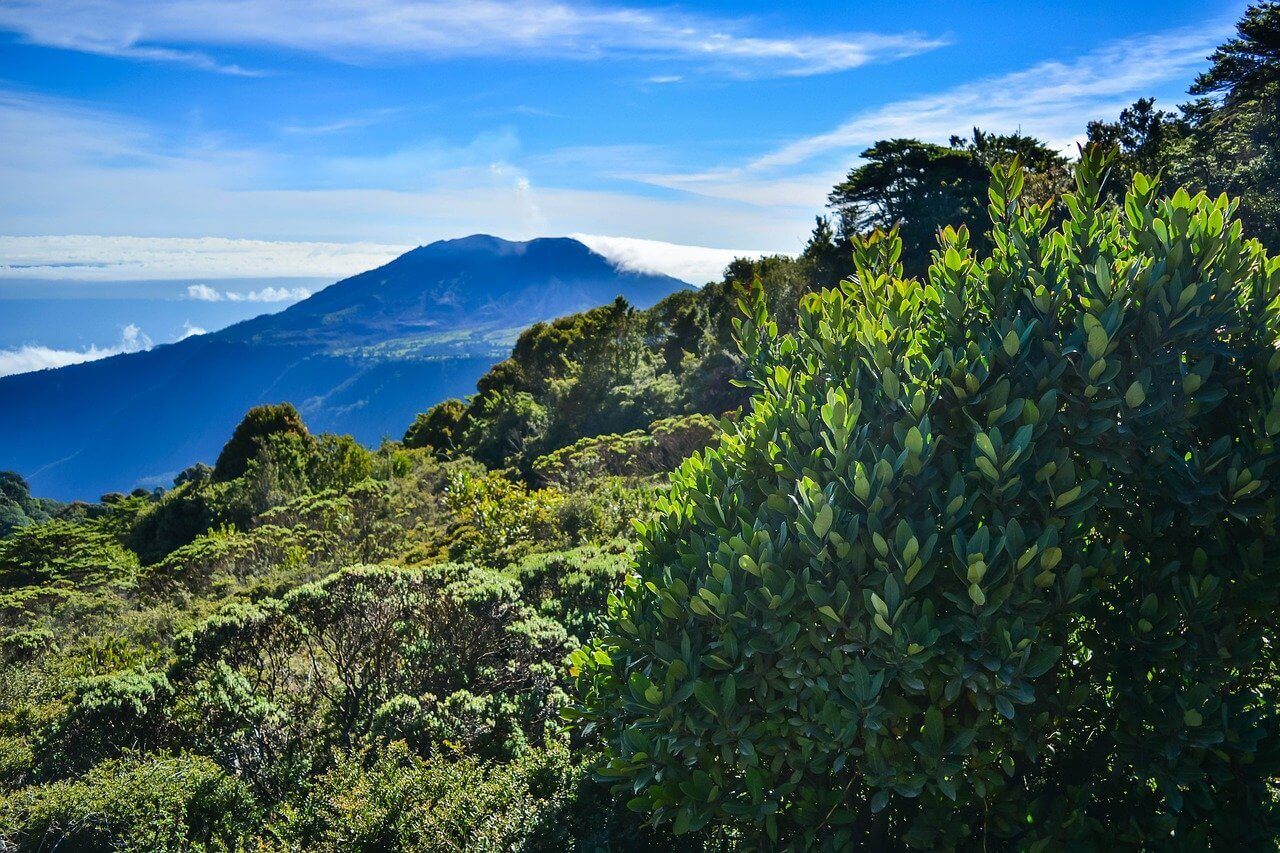 Meerestemperatur Im Juli In Costa Rica Wo Sollte Man Im Juli 2024