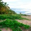 See- und Strandwetter in Iracoubo für die nächsten sieben Tage