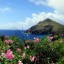 See- und Strandwetter in Saba für die nächsten sieben Tage
