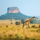 Südafrika