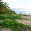 Wo und wann man in Französisch-Guyana baden sollte: monatliche Meerestemperatur