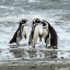 See- und Strandwetter in Punta Arenas für die nächsten sieben Tage
