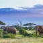 Wo und wann man in Tansania baden sollte: monatliche Meerestemperatur